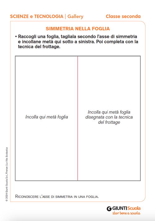 Simmetria nella foglia | Giunti Scuola Simmetria nella foglia | Giunti Scuola