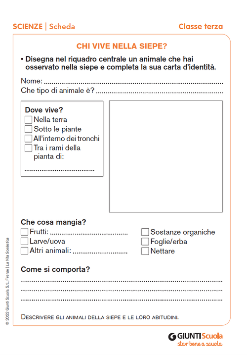 Chi vive nella siepe? | Giunti Scuola Chi vive nella siepe? | Giunti Scuola