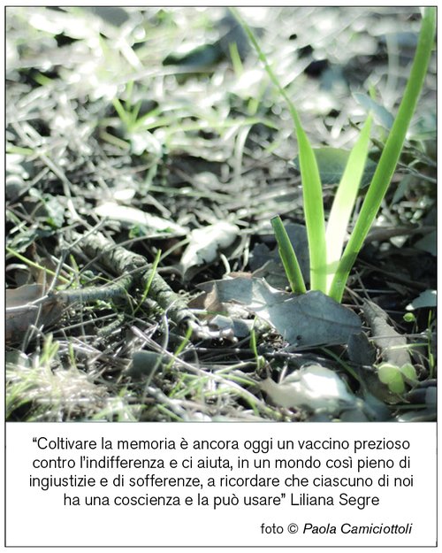 Memoria 2 | Giunti Scuola Memoria 2 | Giunti Scuola
