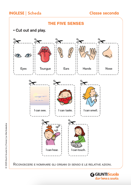The five senses | Giunti Scuola