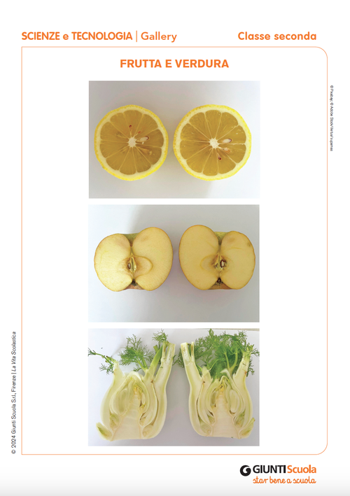 Frutta e verdura | Giunti Scuola