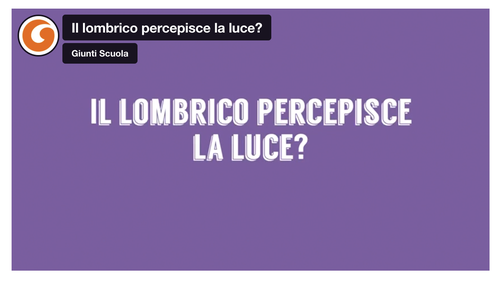 Il lombrico percepisce la luce? | Giunti Scuola