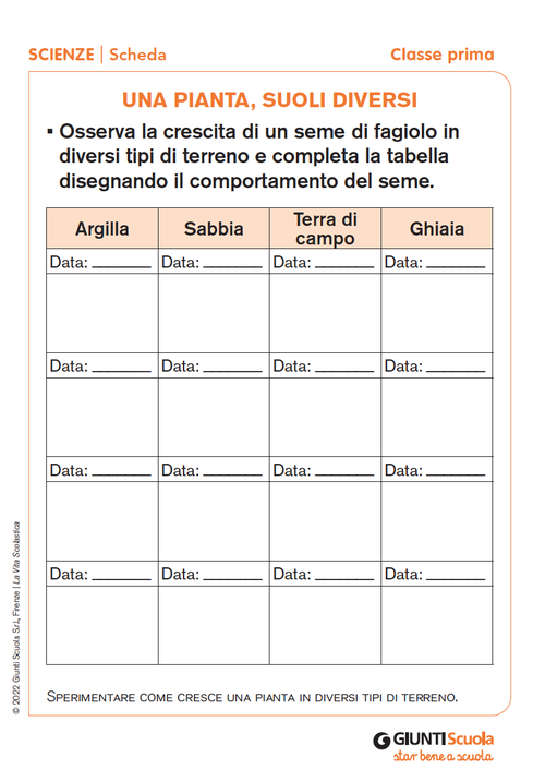 Una pianta, suoli diversi | Giunti Scuola