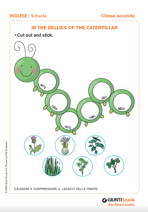 In the bellies of the caterpillar | Giunti Scuola In the bellies of the caterpillar | Giunti Scuola