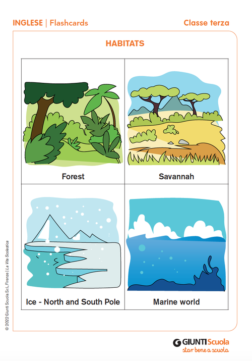 Flashcards: Habitats | Giunti Scuola Flashcards: Habitats | Giunti Scuola