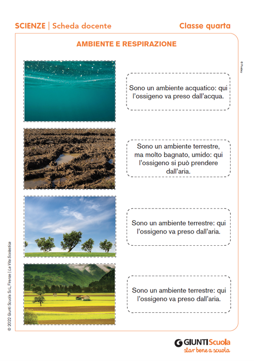 Ambiente e respirazione | Giunti Scuola Ambiente e respirazione | Giunti Scuola