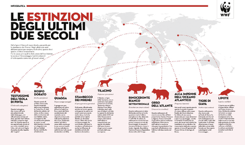 Le estinzioni degli ultimi due secoli | Giunti Scuola Le estinzioni degli ultimi due secoli | Giunti Scuola