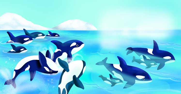 Parole per capirsi | Giunti Scuola