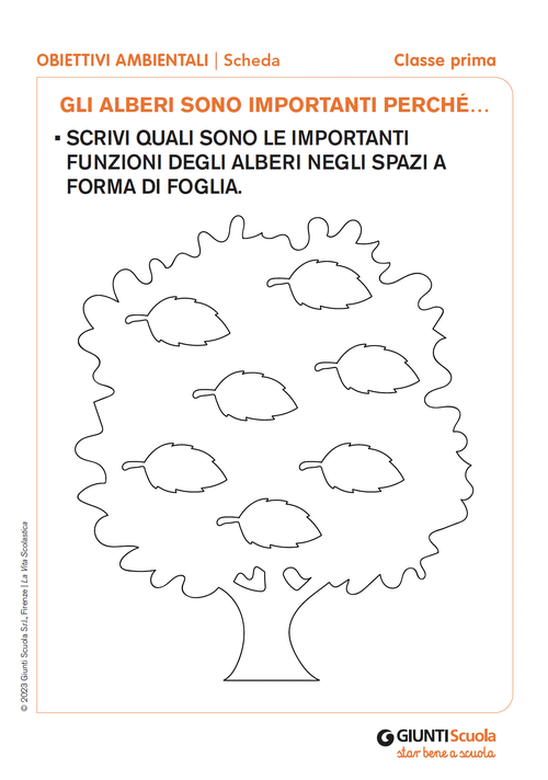 Gli alberi sono importanti perché... | Giunti Scuola