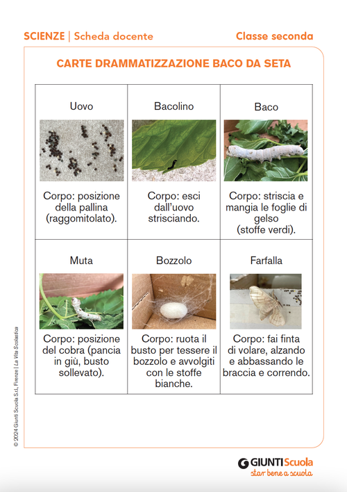 Carte drammatizzazione baco da seta | Giunti Scuola Carte drammatizzazione baco da seta | Giunti Scuola