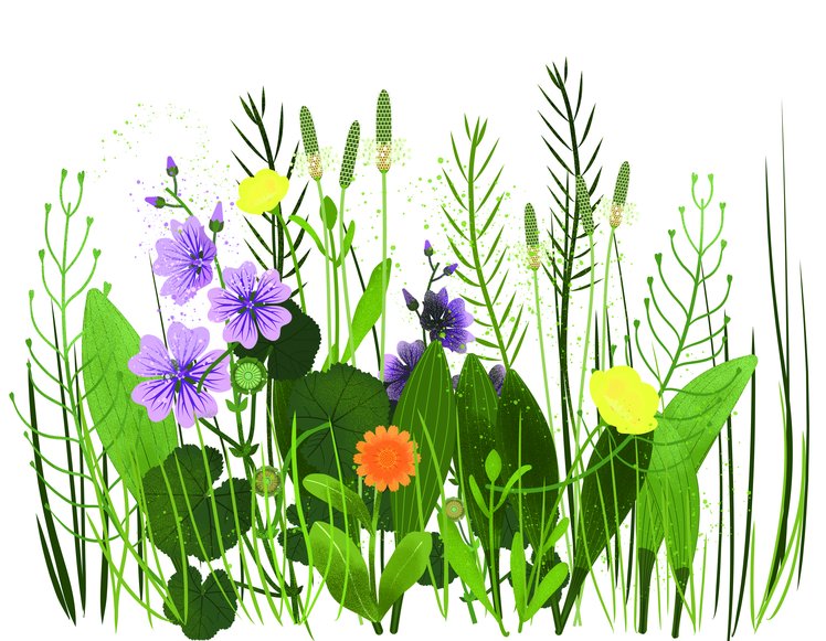 Mappe concettuali in gioco | Giunti Scuola