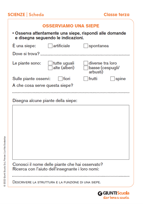 Osserviamo una siepe | Giunti Scuola