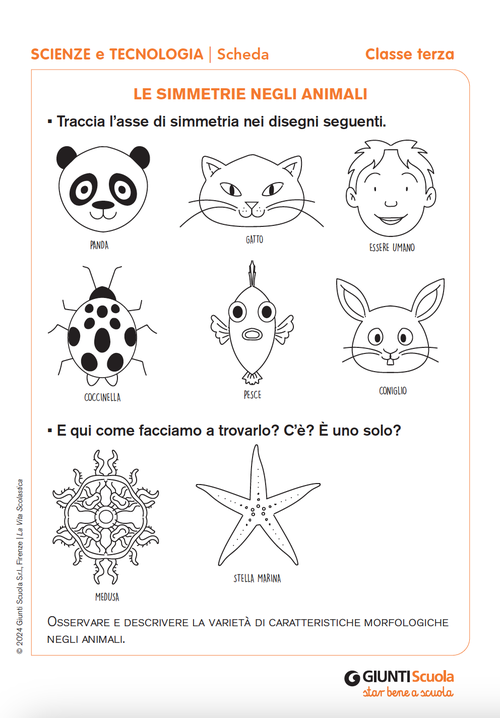 Le simmetrie negli animali | Giunti Scuola Le simmetrie negli animali | Giunti Scuola