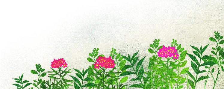 Educazione emotiva, è l’ora! | Giunti Scuola