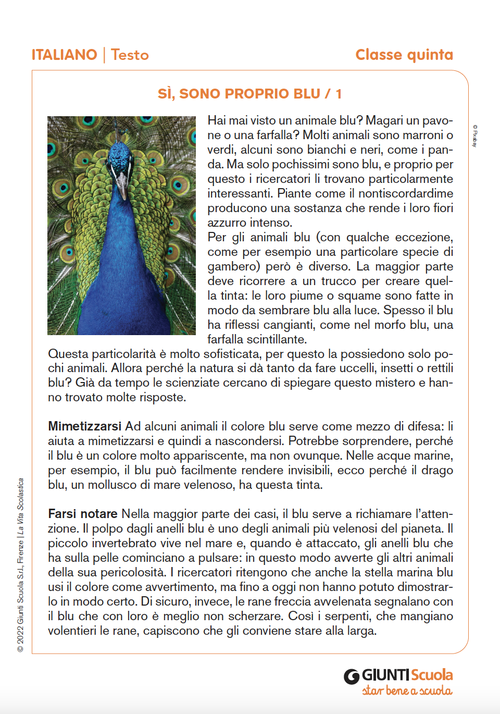 Sì, sono proprio blu / 1 e 2 | Giunti Scuola Sì, sono proprio blu / 1 e 2 | Giunti Scuola
