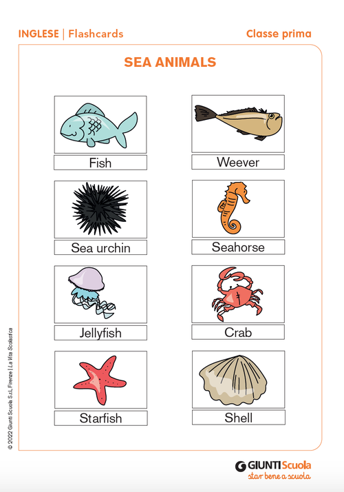 Flashcards: Sea animals | Giunti Scuola