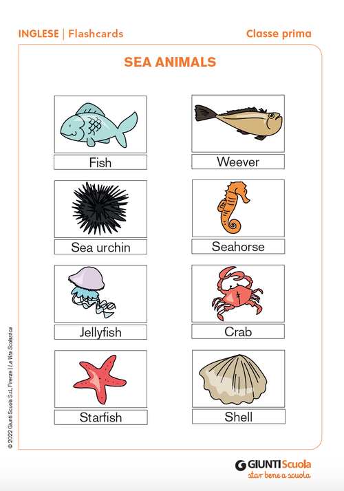Flashcards: Sea animals | Giunti Scuola Flashcards: Sea animals | Giunti Scuola