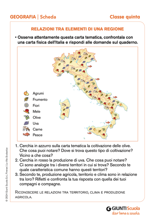 Relazioni tra elementi di una regione | Giunti Scuola