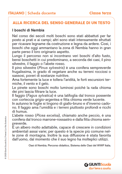 Alla ricerca del senso generale di un testo | Giunti Scuola Alla ricerca del senso generale di un testo | Giunti Scuola