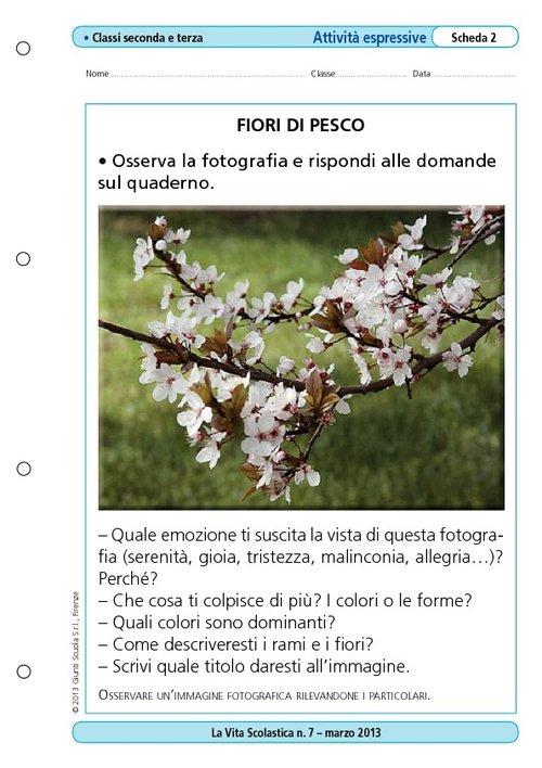 Fiori di pesco | Giunti Scuola Fiori di pesco | Giunti Scuola