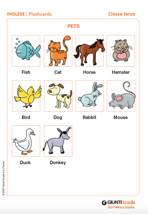 Flashcards: Pets | Giunti Scuola Flashcards: Pets | Giunti Scuola