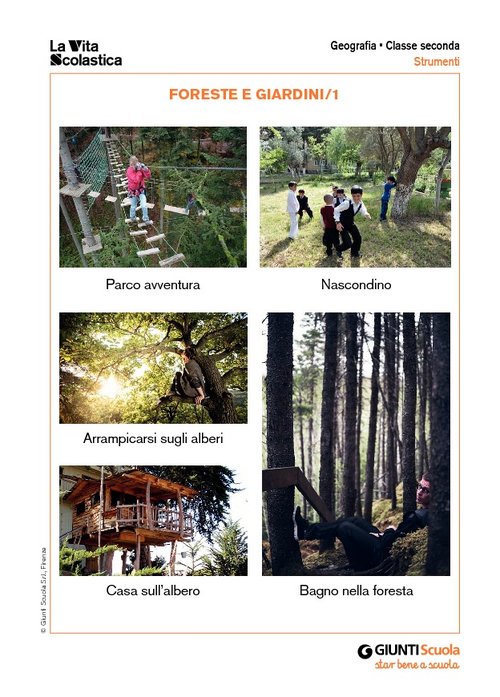 Foreste e giardini | Giunti Scuola Foreste e giardini | Giunti Scuola