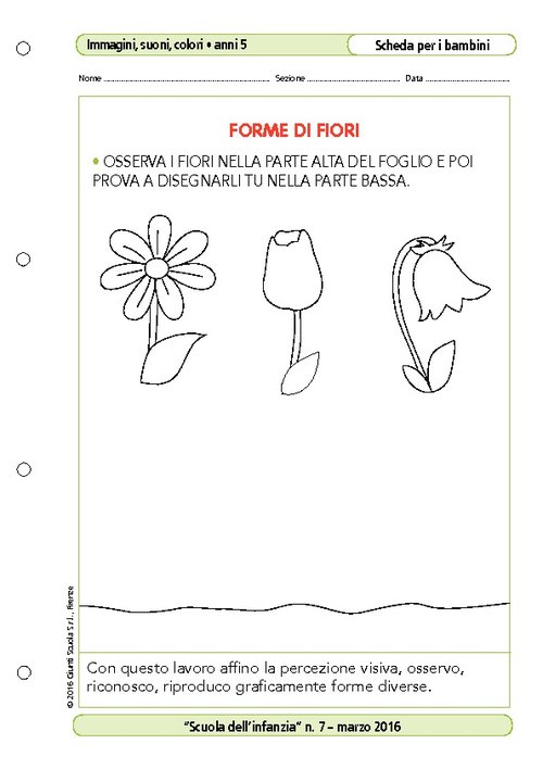 Forme di fiori | Giunti Scuola Forme di fiori | Giunti Scuola