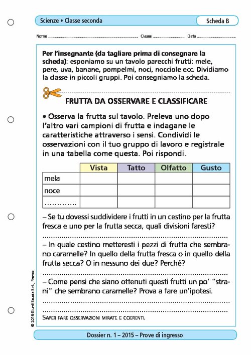 Frutta da osservare e classificare | Giunti Scuola