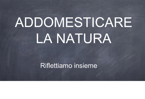 Gallery: Addomesticare la natura | Giunti Scuola Gallery: Addomesticare la natura | Giunti Scuola
