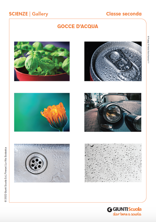 Gallery: Gocce d'acqua | Giunti Scuola Gallery: Gocce d'acqua | Giunti Scuola