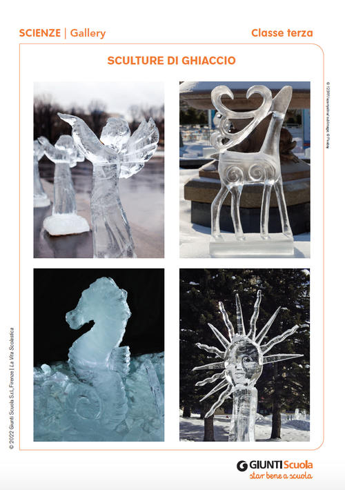Gallery: Sculture di ghiaccio | Giunti Scuola Gallery: Sculture di ghiaccio | Giunti Scuola