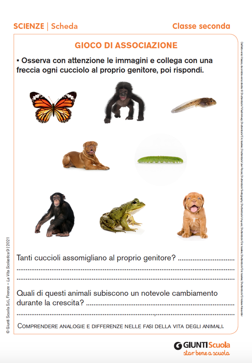 Gioco di associazione | Giunti Scuola Gioco di associazione | Giunti Scuola