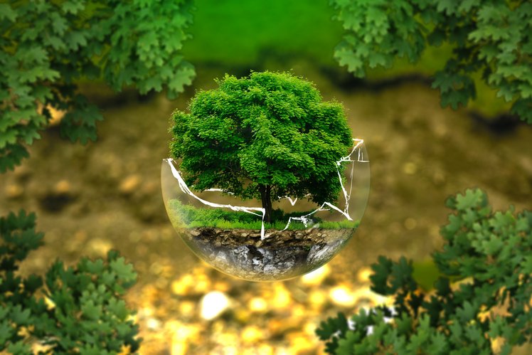 Giornata Internazionale della Terra: poesie e suggerimenti | Giunti Scuola Giornata Internazionale della Terra: poesie e suggerimenti | Giunti Scuola