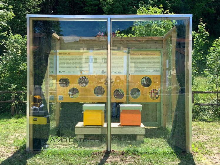 Giornata mondiale delle api: bombe di semi, arnie nei giardini e attività a scuola | Giunti Scuola Giornata mondiale delle api: bombe di semi, arnie nei giardini e attività a scuola | Giunti Scuola