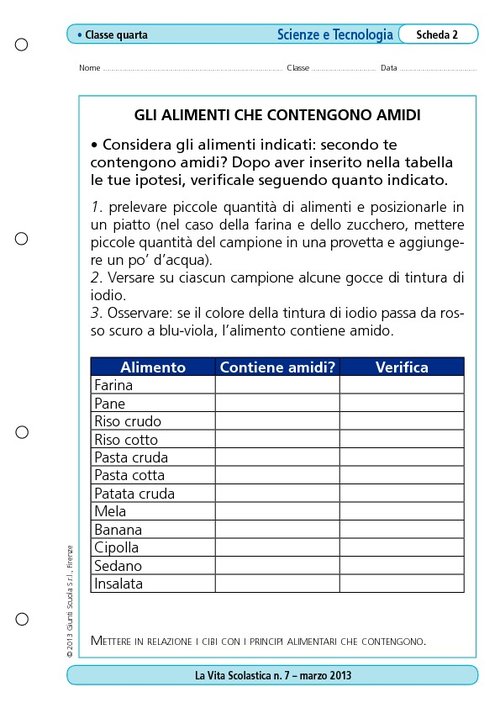 Gli alimenti che contengono amidi | Giunti Scuola Gli alimenti che contengono amidi | Giunti Scuola
