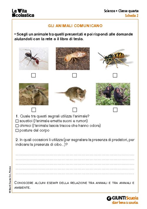 Gli animali comunicano | Giunti Scuola Gli animali comunicano | Giunti Scuola
