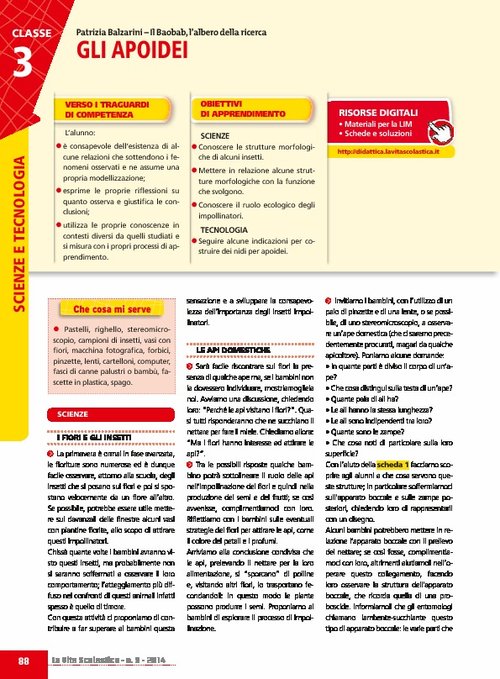 Gli apoidei | Giunti Scuola Gli apoidei | Giunti Scuola