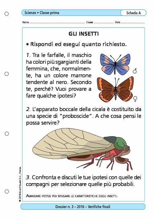 Gli insetti | Giunti Scuola Gli insetti | Giunti Scuola