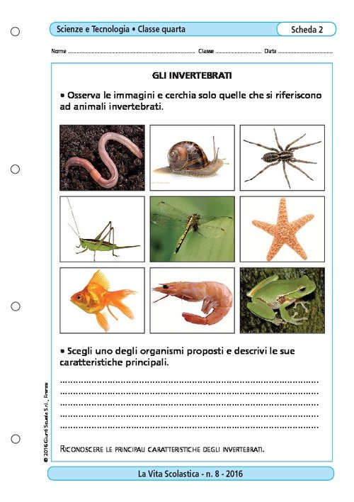 Gli invertebrati | Giunti Scuola Gli invertebrati | Giunti Scuola
