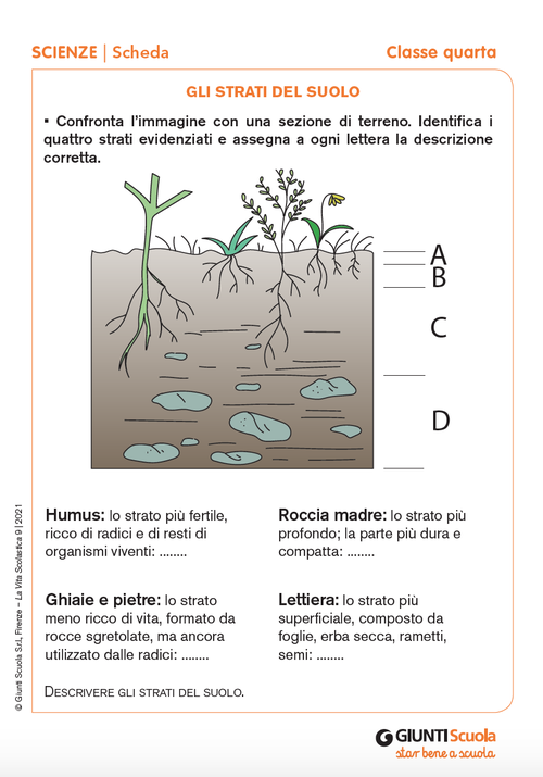 Gli strati del suolo | Giunti Scuola Gli strati del suolo | Giunti Scuola