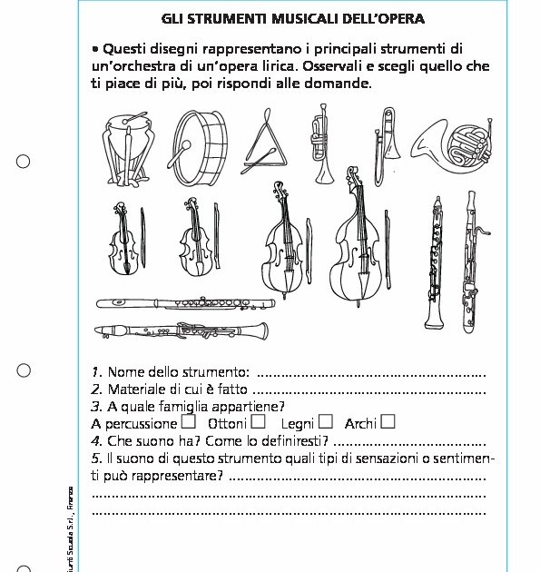 Gli strumenti musicali dell'opera - Gli strumenti musicali dell'opera