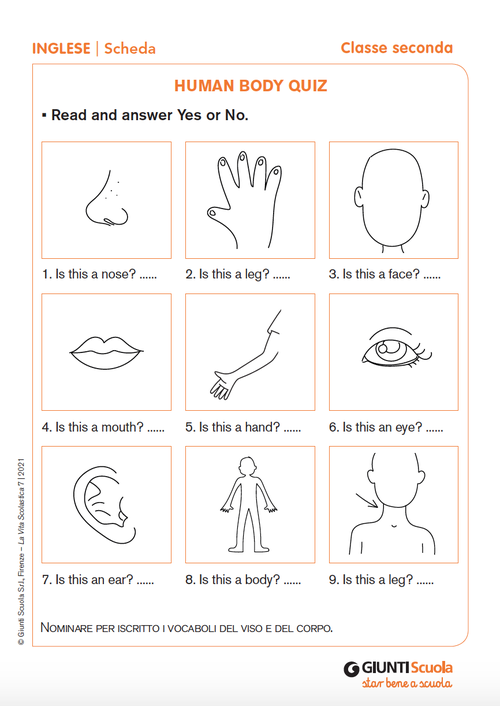 Human body quiz | Giunti Scuola