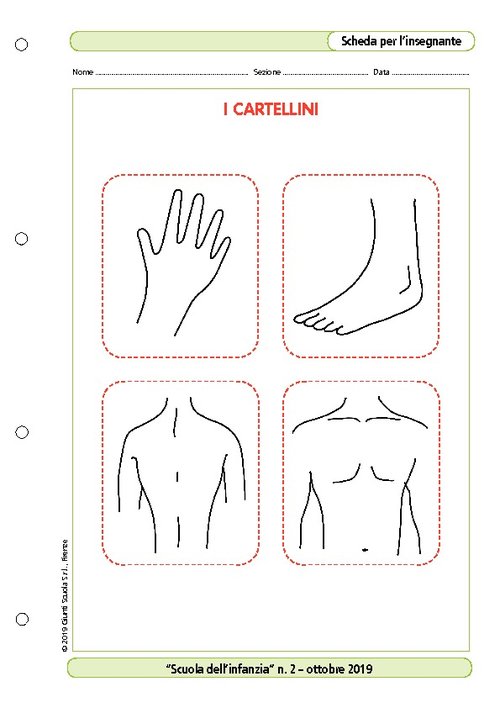I cartellini del corpo | Giunti Scuola I cartellini del corpo | Giunti Scuola