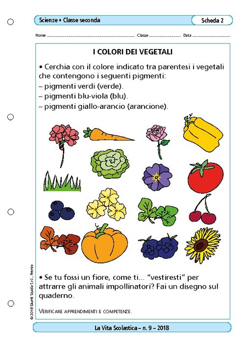 I colori dei vegetali | Giunti Scuola I colori dei vegetali | Giunti Scuola