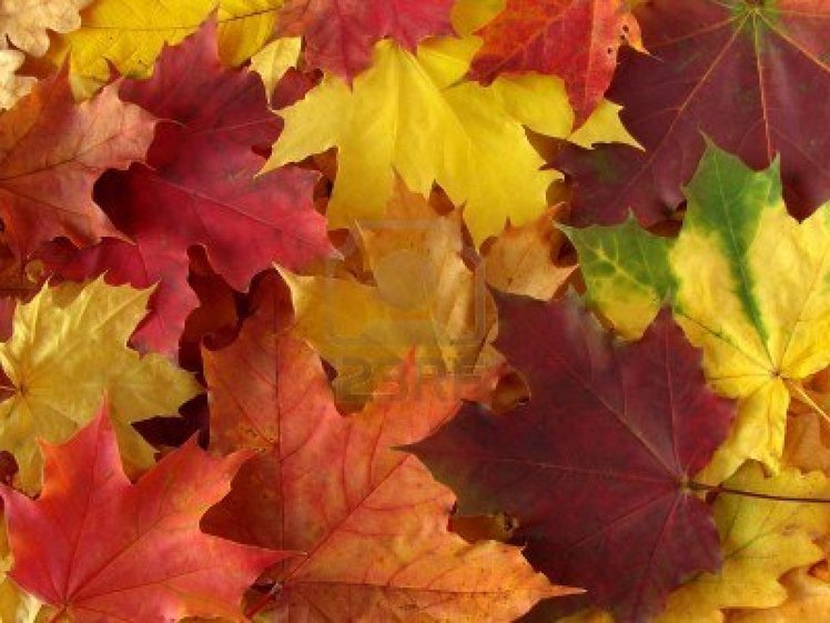 I colori delle stagioni | Giunti Scuola