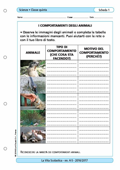 I comportamenti degli animali | Giunti Scuola I comportamenti degli animali | Giunti Scuola