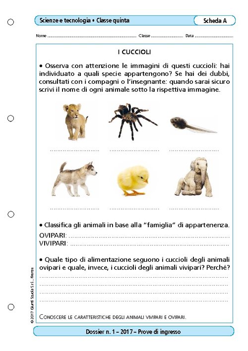 I cuccioli | Giunti Scuola I cuccioli | Giunti Scuola