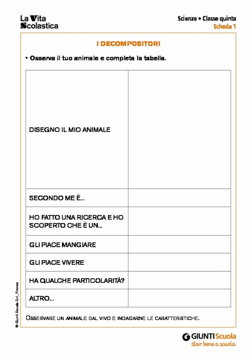 I decompositori | Giunti Scuola I decompositori | Giunti Scuola