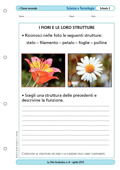 I fiori e le loro strutture | Giunti Scuola I fiori e le loro strutture | Giunti Scuola