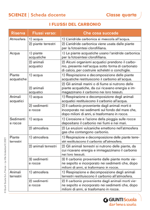 I flussi del carbonio | Giunti Scuola I flussi del carbonio | Giunti Scuola